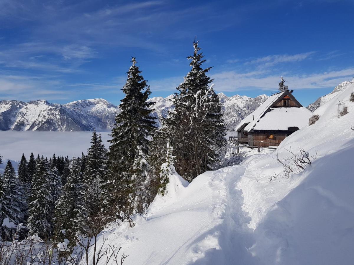 Chalet Gorenjka - Velika Planina Stahovica Exteriér fotografie