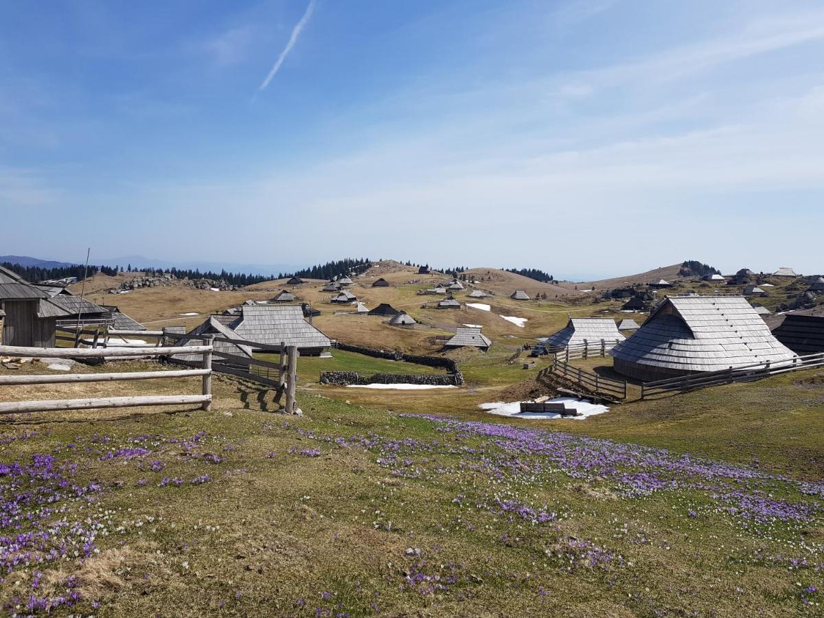 Chalet Gorenjka - Velika Planina Stahovica Exteriér fotografie